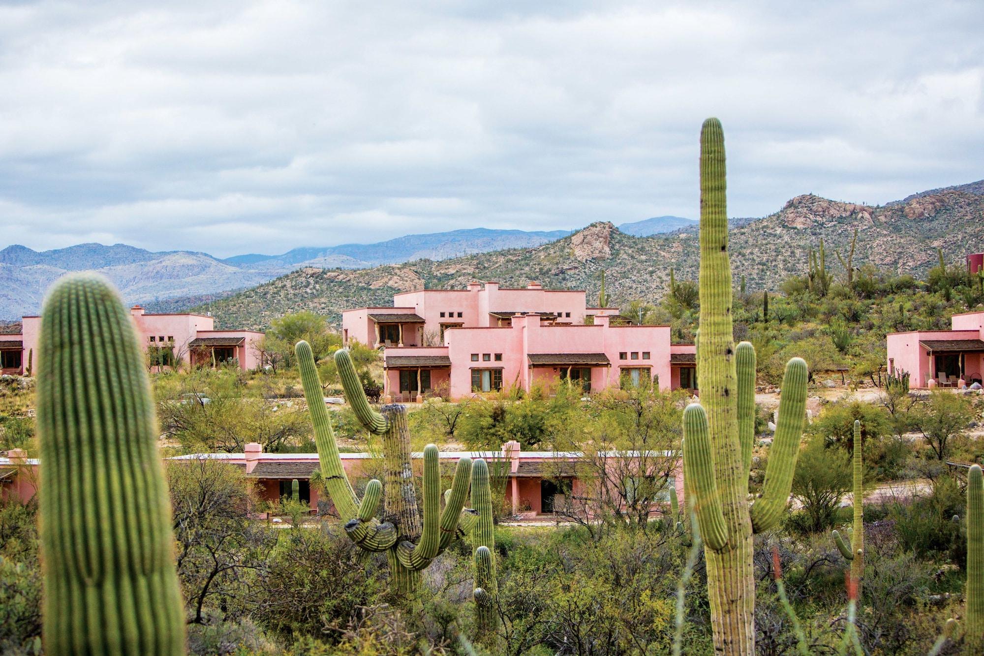 Tanque Verde Guest Ranch Tucson Exterior foto