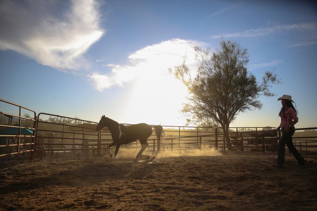 Tanque Verde Guest Ranch Tucson Exterior foto